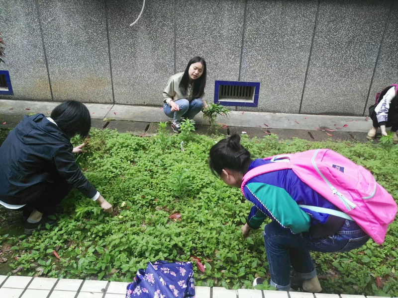 1494031691040033108.jpeg 1494031691040033108.jpeg